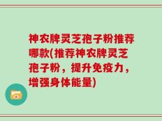 神农牌灵芝孢子粉推荐哪款(推荐神农牌灵芝孢子粉，提升免疫力，增强身体能量)