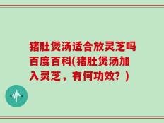 猪肚煲汤适合放灵芝吗百度百科(猪肚煲汤加入灵芝，有何功效？)