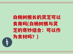 白杨树根长的灵芝可以食用吗(白杨树根与灵芝的奇妙结合：可以作为食材吗？)