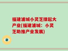 福建浦城小灵芝撑起大产业(福建浦城：小灵芝助推产业发展)