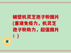 破壁机灵芝孢子粉图片(重建免疫力，机灵芝孢子粉助力，超值图片！)