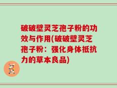破破壁灵芝孢子粉的功效与作用(破破壁灵芝孢子粉：强化身体抵抗力的草本良品)
