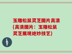 玉雕松鼠灵芝图片高清(高清图片：玉雕松鼠灵芝展现绝妙技艺)