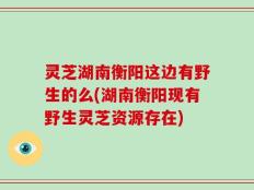 灵芝湖南衡阳这边有野生的么(湖南衡阳现有野生灵芝资源存在)