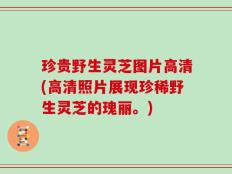 珍贵野生灵芝图片高清(高清照片展现珍稀野生灵芝的瑰丽。)