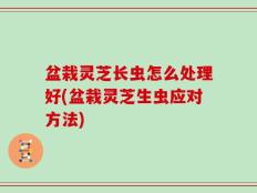 盆栽灵芝长虫怎么处理好(盆栽灵芝生虫应对方法)