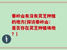 秦岭山有没有灵芝种植的地方(探访秦岭山：是否存在灵芝种植场地？)