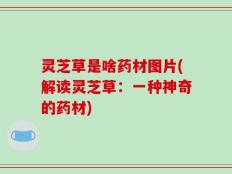 灵芝草是啥药材图片(解读灵芝草：一种神奇的药材)