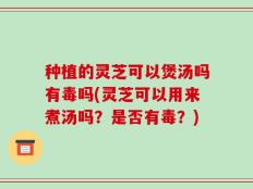 种植的灵芝可以煲汤吗有毒吗(灵芝可以用来煮汤吗？是否有毒？)
