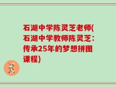 石湖中学陈灵芝老师(石湖中学教师陈灵芝：传承25年的梦想拼图课程)