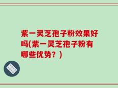 紫一灵芝孢子粉效果好吗(紫一灵芝孢子粉有哪些优势？)