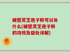 破壁灵芝孢子粉可以补什么(破壁灵芝孢子粉的功效及益处详解)