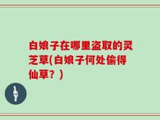 白娘子在哪里盗取的灵芝草(白娘子何处偷得仙草？)