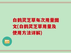 白鹤灵芝草每次用量图文(白鹤灵芝草用量及使用方法详解)