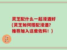 灵芝配什么一起浸酒好(灵芝如何搭配浸酒？推荐加入这些佐料！)