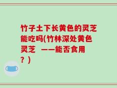 竹子土下长黄色的灵芝能吃吗(竹林深处黄色灵芝  ——能否食用？)