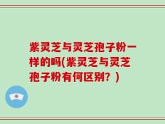 紫灵芝与灵芝孢子粉一样的吗(紫灵芝与灵芝孢子粉有何区别？)