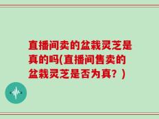 直播间卖的盆栽灵芝是真的吗(直播间售卖的盆栽灵芝是否为真？)