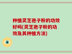 种植灵芝孢子粉的功效好吗(灵芝孢子粉的功效及其种植方法)