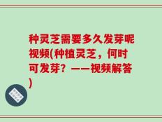 种灵芝需要多久发芽呢视频(种植灵芝，何时可发芽？——视频解答)