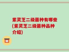 紫灵芝二级菌种有哪些(紫灵芝二级菌种品种介绍)