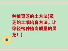 种植灵芝的土方法(灵芝的土壤培育方法，让你轻松种植高质量的灵芝！)