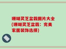 珊瑚灵芝盆栽图片大全(珊瑚灵芝盆栽：完美家居装饰选择)