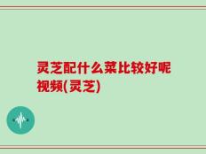 灵芝配什么菜比较好呢视频(灵芝)