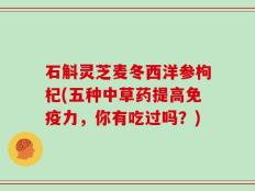 石斛灵芝麦冬西洋参枸杞(五种中草药提高免疫力，你有吃过吗？)