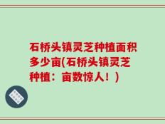 石桥头镇灵芝种植面积多少亩(石桥头镇灵芝种植：亩数惊人！)