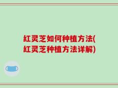 红灵芝如何种植方法(红灵芝种植方法详解)