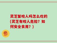 灵芝蟹咬人吗怎么吃的(灵芝有咬人危险？如何安全食用？)