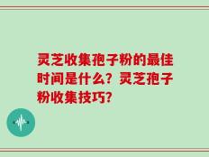 灵芝收集孢子粉的最佳时间是什么？灵芝孢子粉收集技巧？