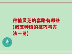种植灵芝的套路有哪些(灵芝种植的技巧与方法一览)