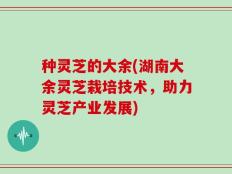 种灵芝的大余(湖南大余灵芝栽培技术，助力灵芝产业发展)