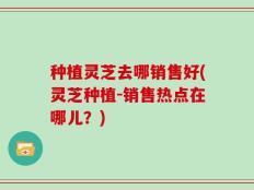 种植灵芝去哪销售好(灵芝种植-销售热点在哪儿？)