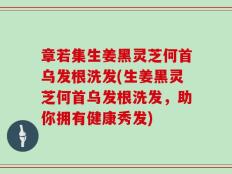 章若集生姜黑灵芝何首乌发根洗发(生姜黑灵芝何首乌发根洗发，助你拥有健康秀发)