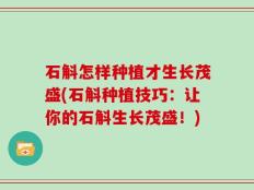 石斛怎样种植才生长茂盛(石斛种植技巧：让你的石斛生长茂盛！)