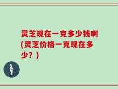 灵芝现在一克多少钱啊(灵芝价格一克现在多少？)
