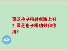灵芝孢子粉转氨酶上升？灵芝孢子粉功效和作用？