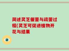 简述灵芝催蕾与疏蕾过程(灵芝可促进植物开花与结果