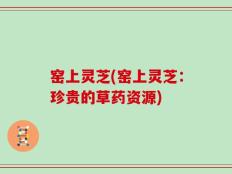 窑上灵芝(窑上灵芝：珍贵的草药资源)