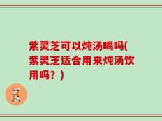 紫灵芝可以炖汤喝吗(紫灵芝适合用来炖汤饮用吗？)