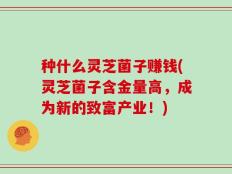 种什么灵芝菌子赚钱(灵芝菌子含金量高，成为新的致富产业！)