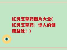 红灵芝草药图片大全(红灵芝草药：惊人的健康益处！)