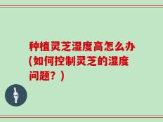 种植灵芝湿度高怎么办(如何控制灵芝的湿度问题？)
