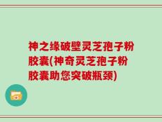 神之缘破壁灵芝孢子粉胶囊(神奇灵芝孢子粉胶囊助您突破瓶颈)