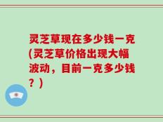 灵芝草现在多少钱一克(灵芝草价格出现大幅波动，目前一克多少钱？)