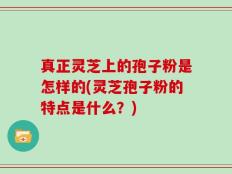真正灵芝上的孢子粉是怎样的(灵芝孢子粉的特点是什么？)