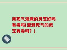 用死气灌溉的灵芝好吗有毒吗(灌溉死气的灵芝有毒吗？)